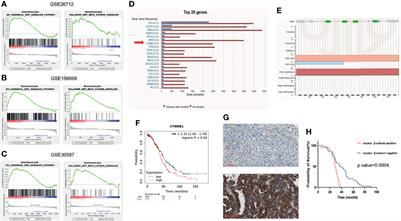 Wnt/β-Catenin Inhibition by CWP232291 as a Novel Therapeutic Strategy in Ovarian Cancer